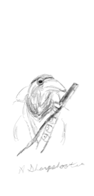 A crow-person with a rifle, glasses, a hat on their back, and some kind of bandolier. They are wearing a scarf.